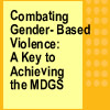 Combating Gender-Based Violence: A Key to Achieving the MDGS
